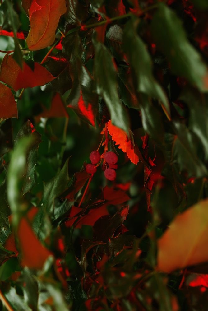 Photograph by Ясинский Константин