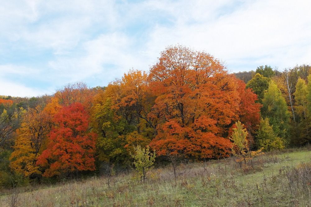 Photograph by Евгений Софронов