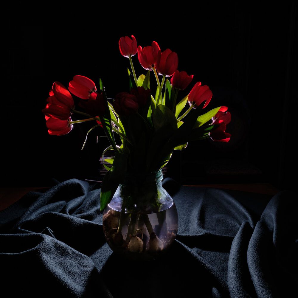 Фотография автора Ron Niv