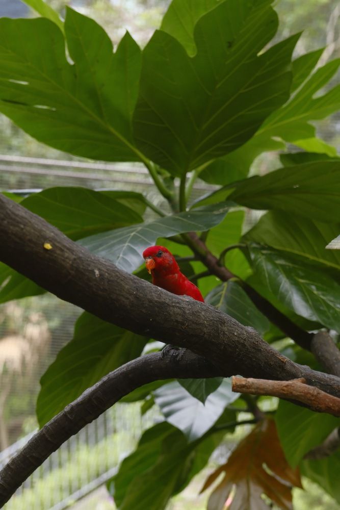 Фотография автора Gustavo Orellana