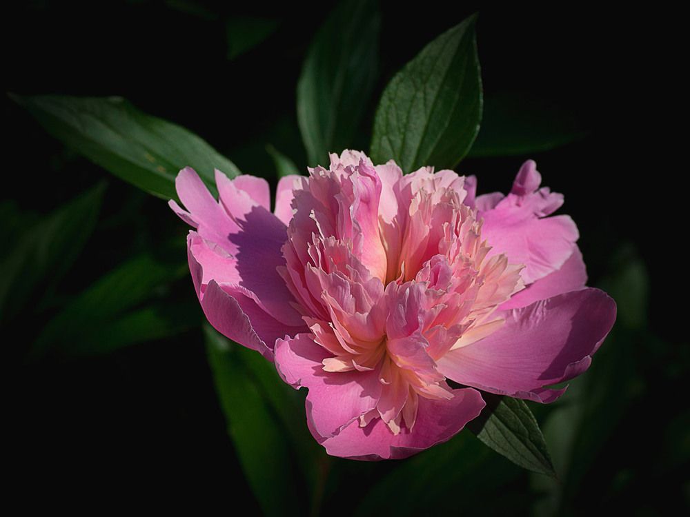 Photograph by Александр Войтко