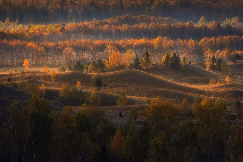 Photograph by Бирюкова Татьяна