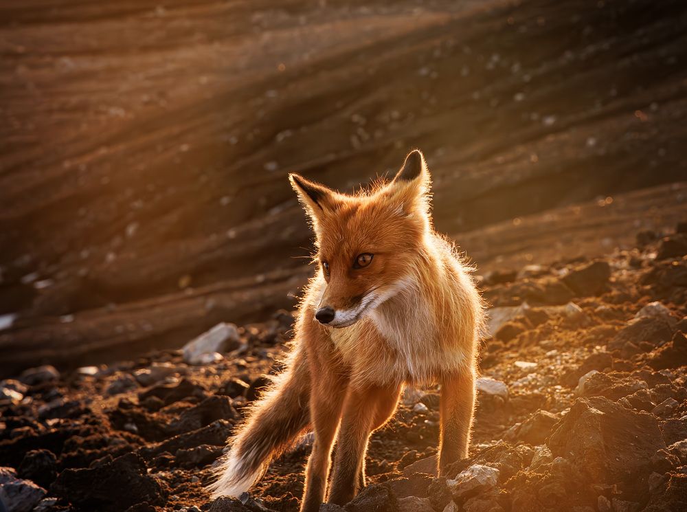 Photograph by Морозов Сергей