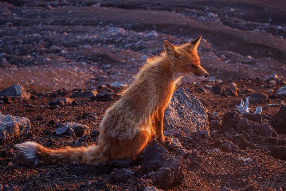 Photograph by Морозов Сергей