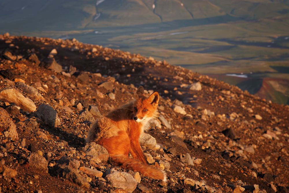 Photograph by Морозов Сергей