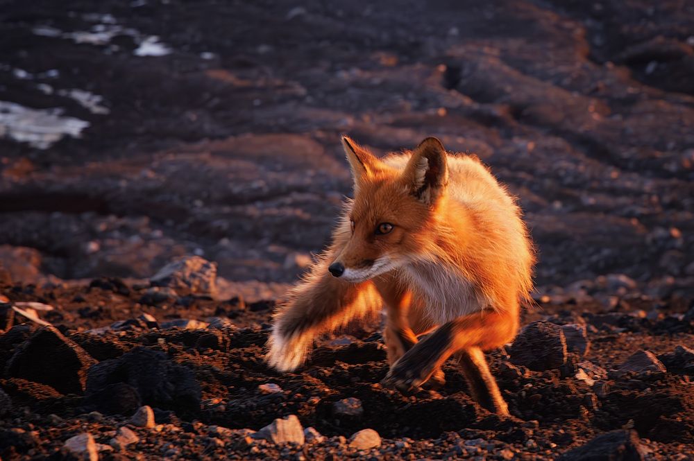 Photograph by Морозов Сергей