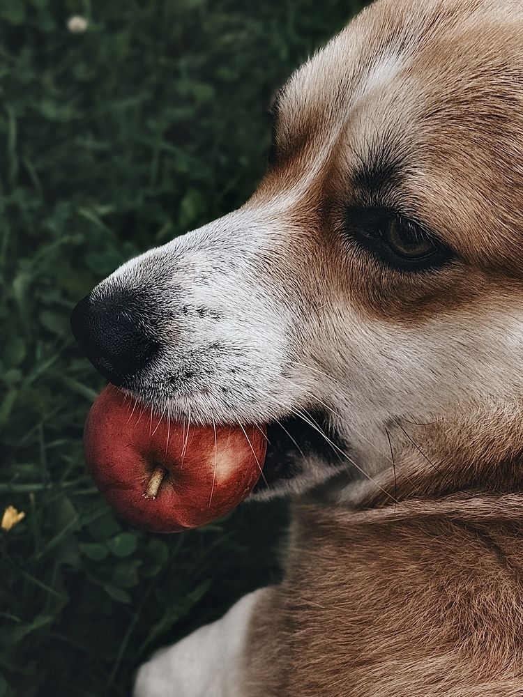 Photograph by Ольга Князева