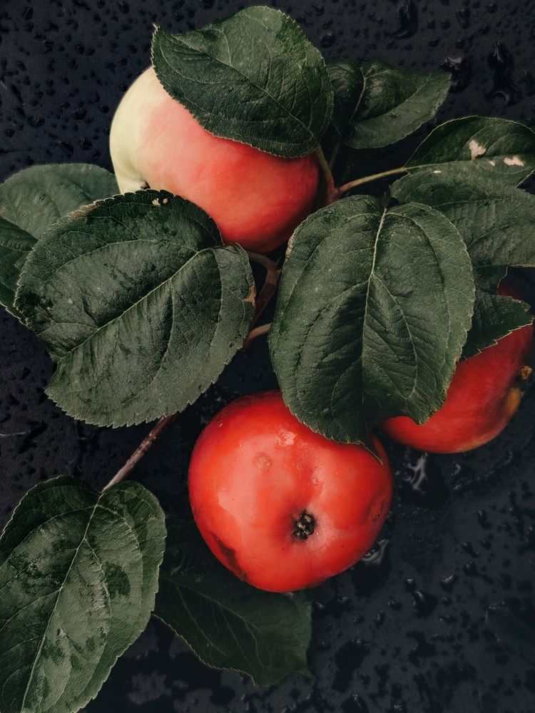 Photograph by Ольга Князева