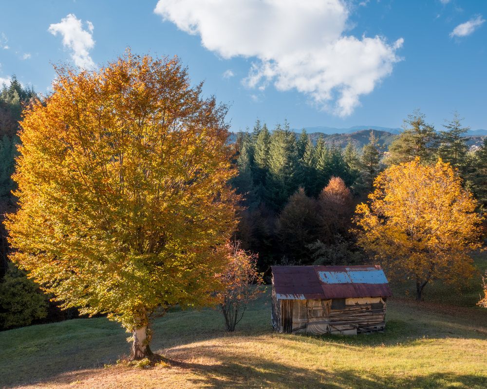 Фотография автора Lyuboslav Bochev