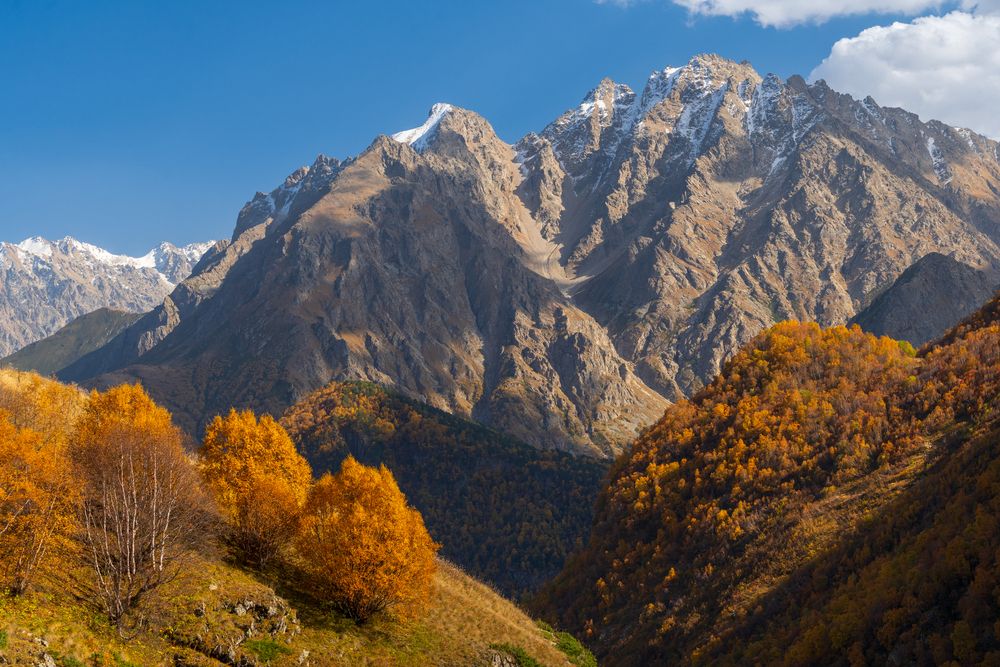 Фотография автора Олег Кожухов