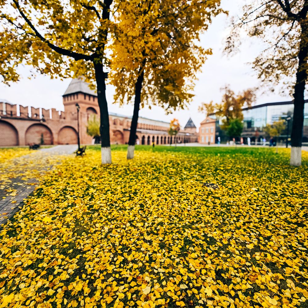 Фотография автора Нина Зинченко