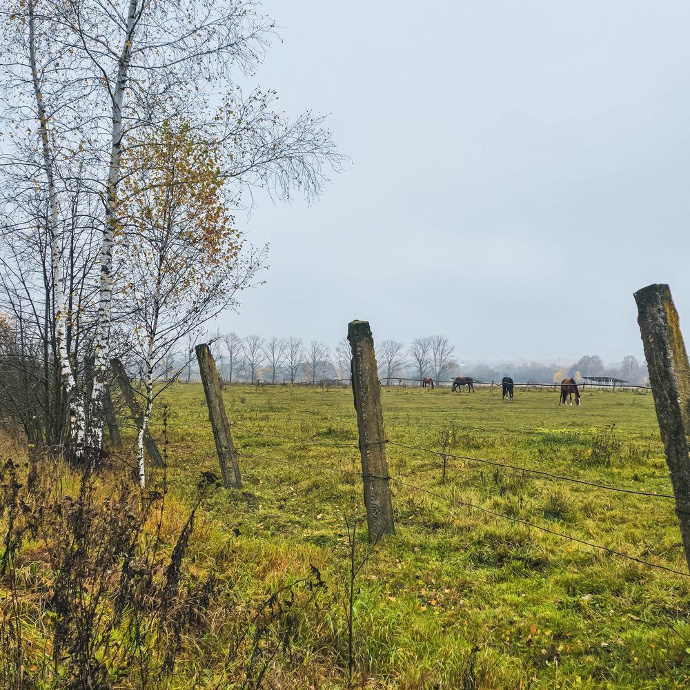 Фотография автора Нина Зинченко