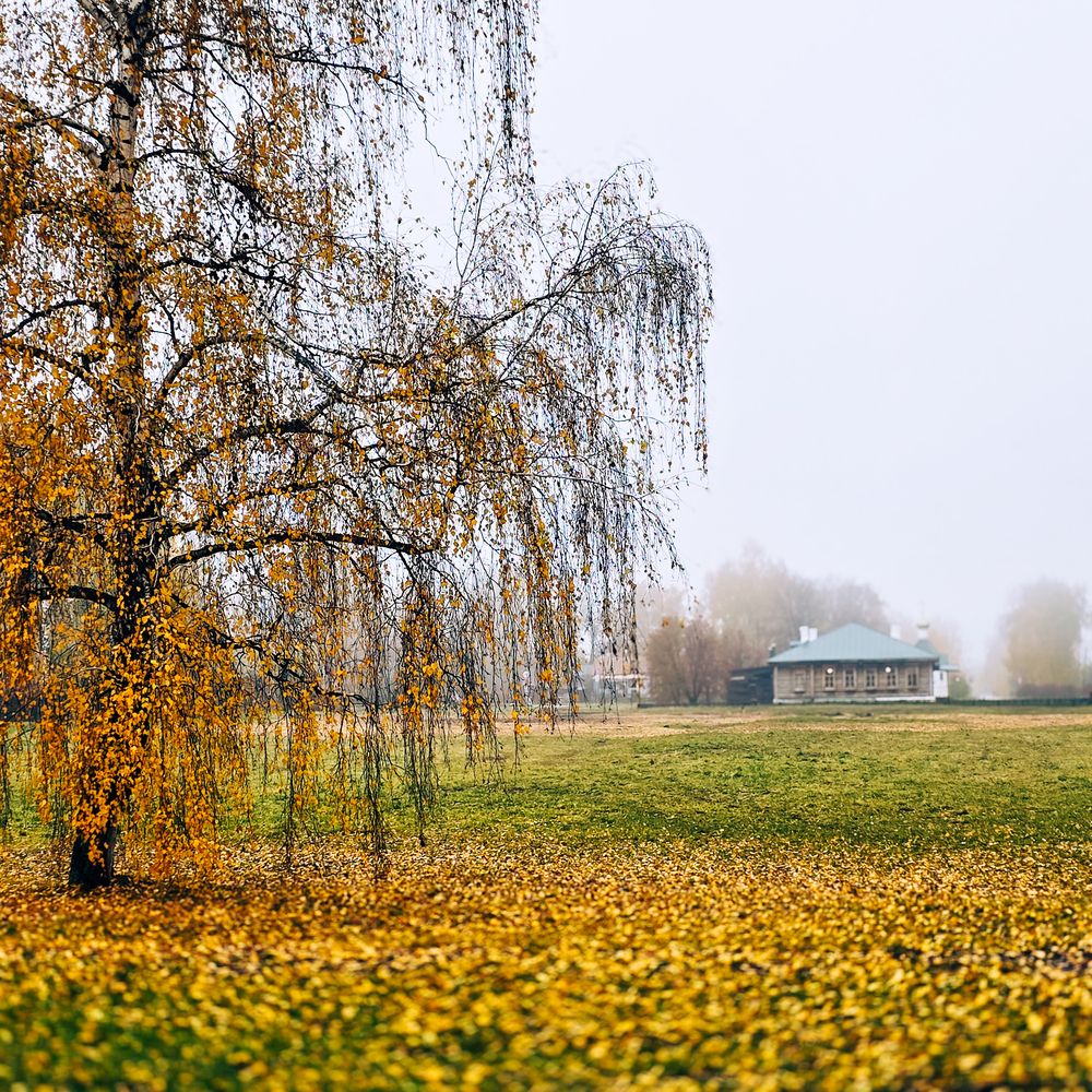 Фотография автора Нина Зинченко