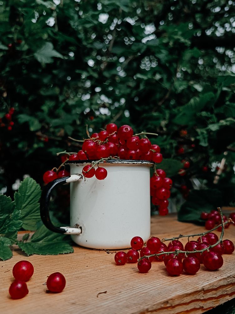 Фотография автора Ирина Романовская