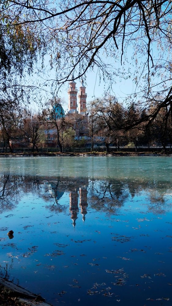 Фотография автора 