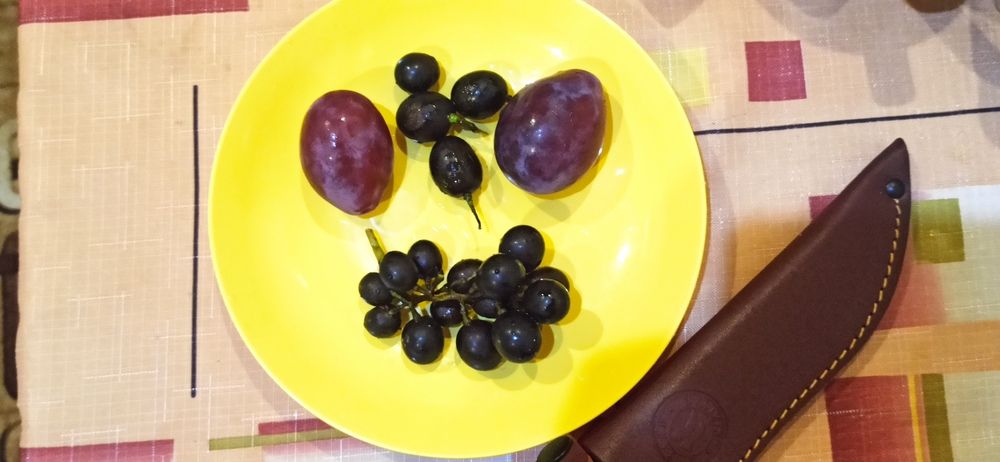 Photograph by Валерия Сопова