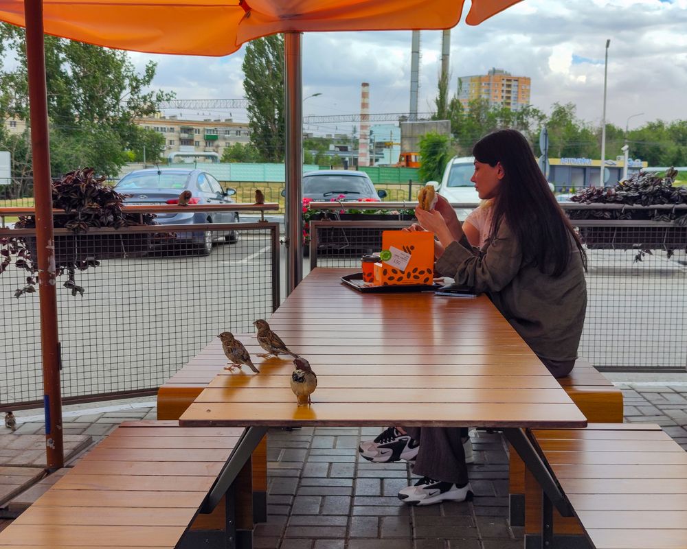 Photograph by Ирина Шибитова