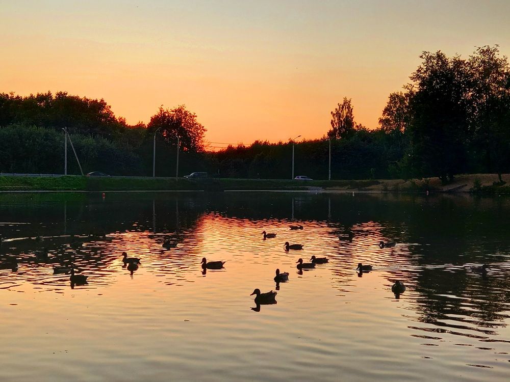 Photograph by Ольга Юрченко