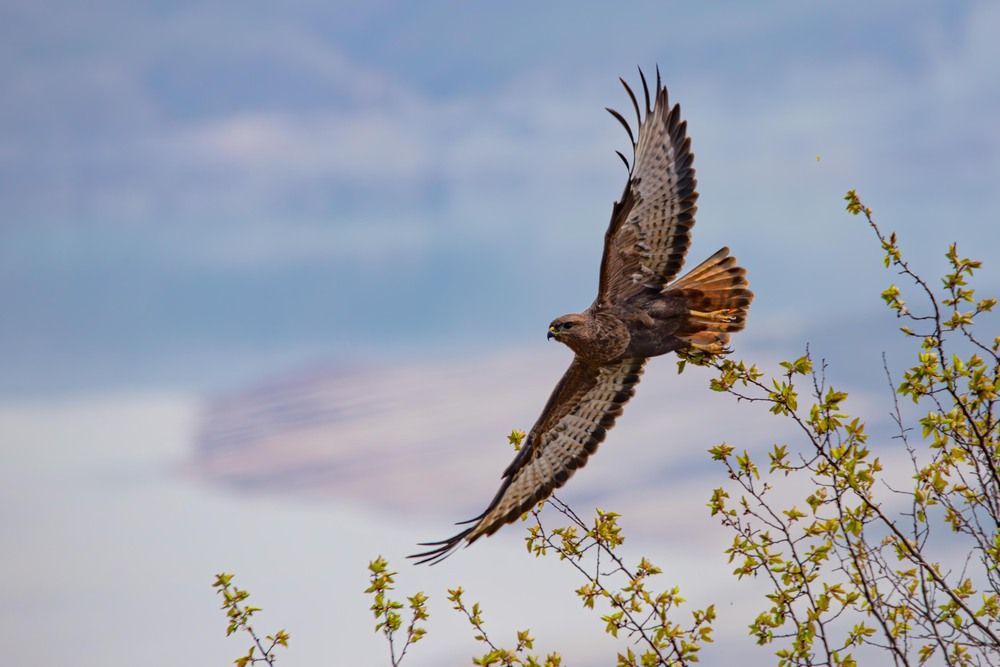 Photograph by Alexei Kriptozoy