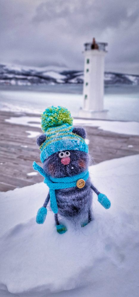 Зимняя прогулка