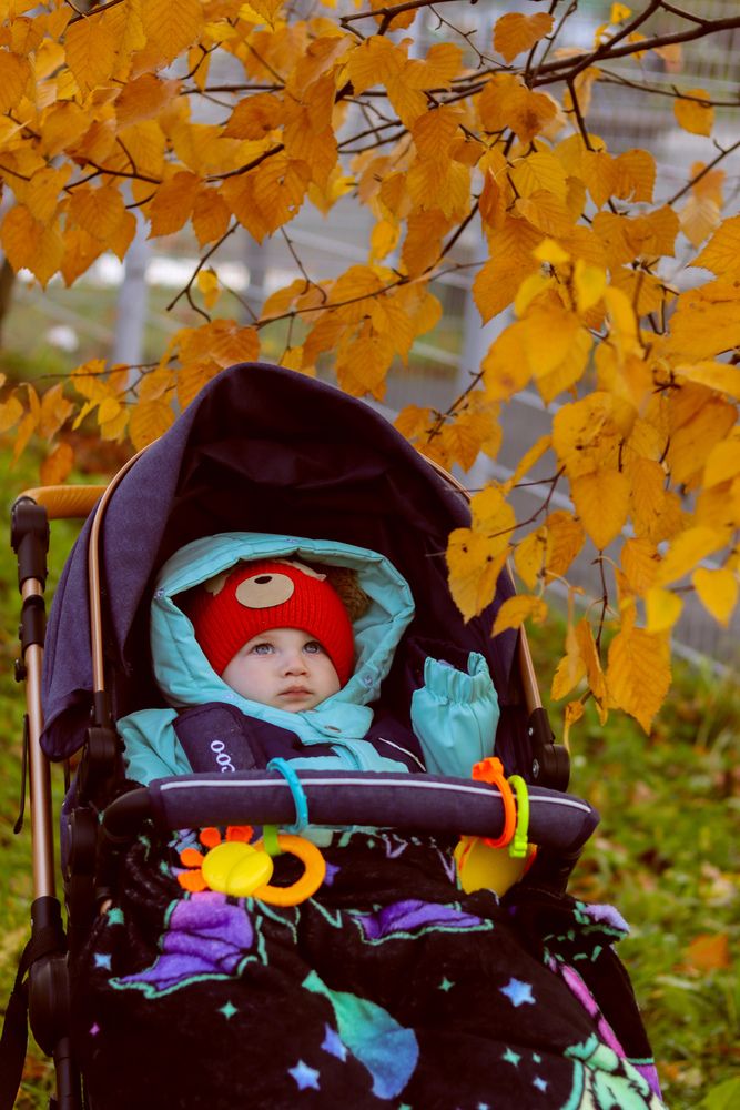 Photograph by Аня Проскурякова