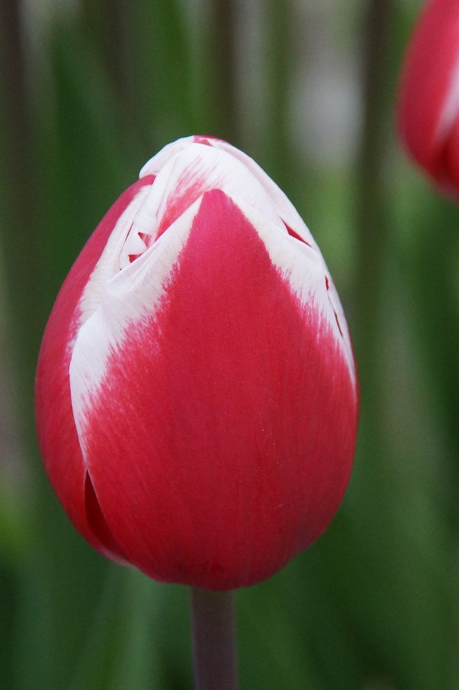 Photograph by Марина Мирошниченко