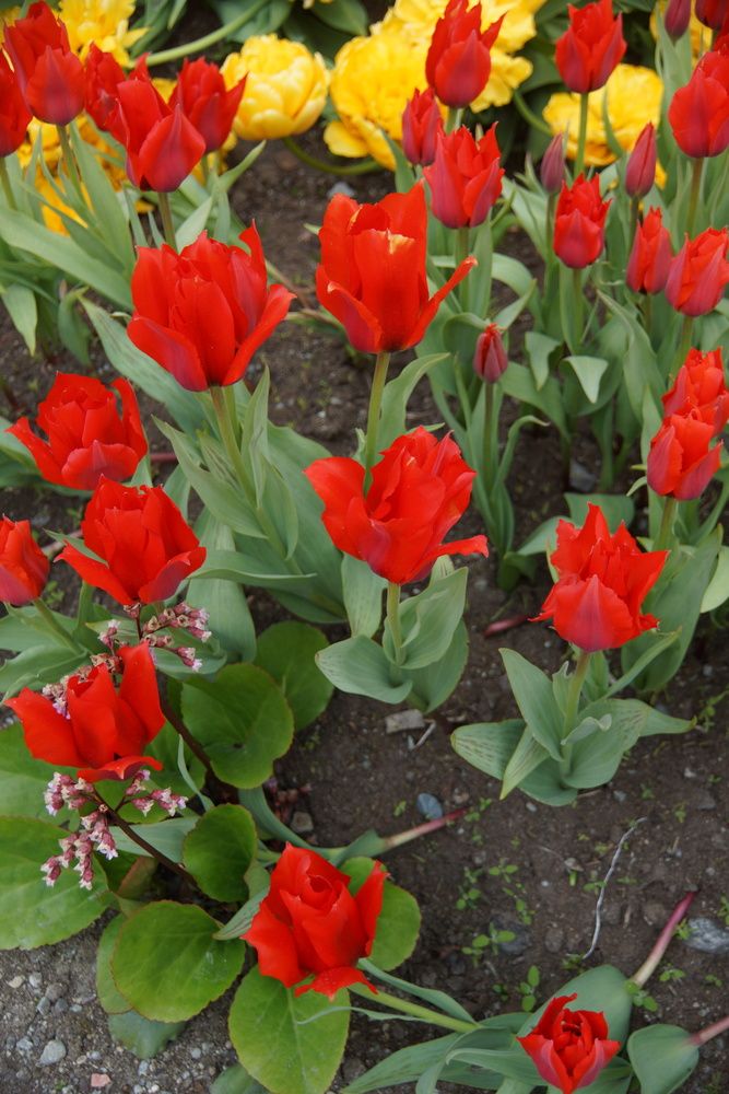 Photograph by Марина Мирошниченко