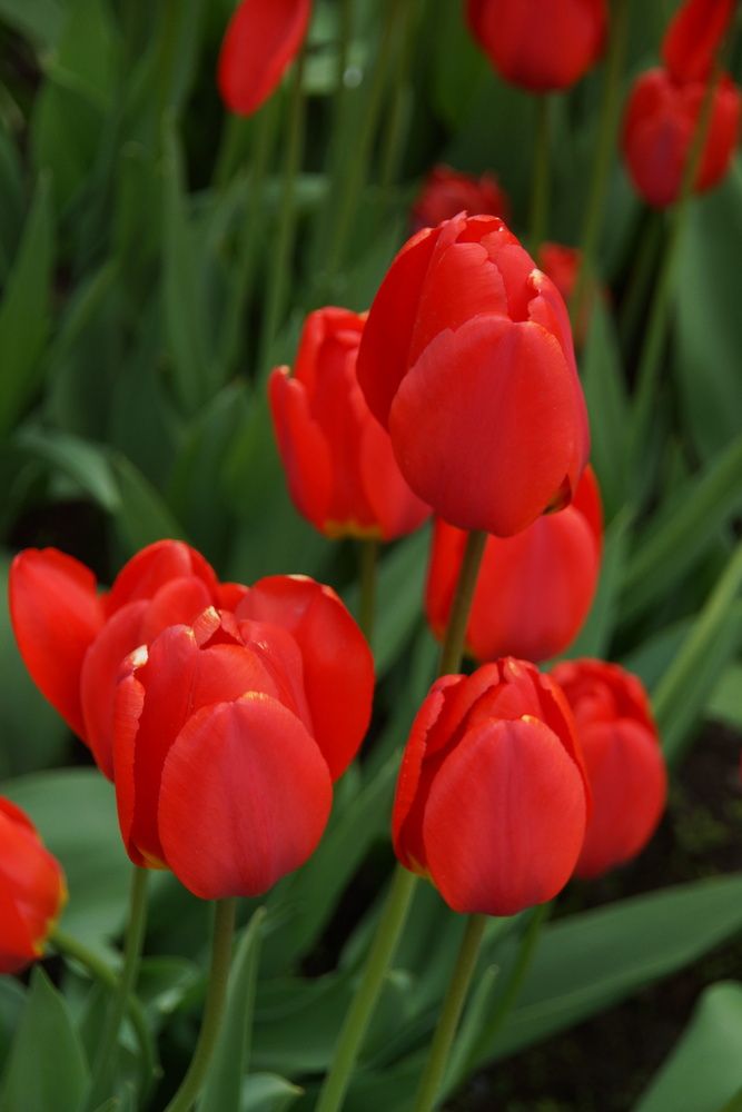 Photograph by Марина Мирошниченко