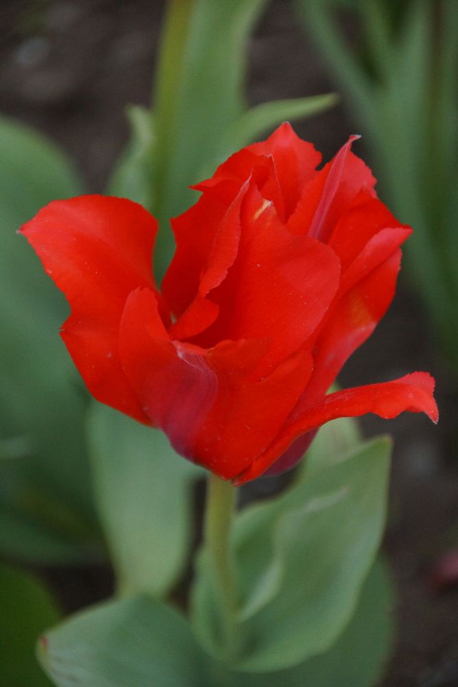 Photograph by Марина Мирошниченко