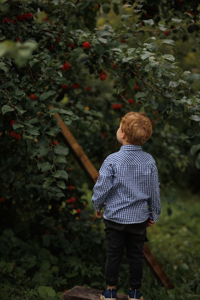 Photograph by Наталья Шаклеина