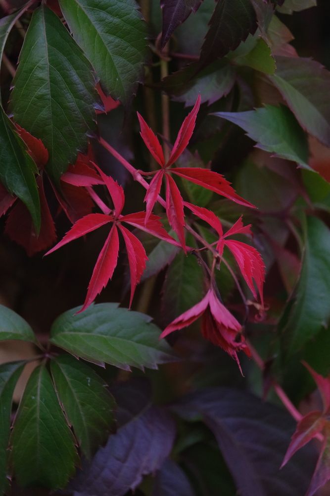 Photograph by Яна Истоцкая