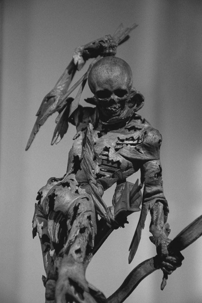 Photograph by Nicole Maria Wolff