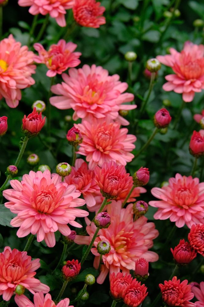 Photograph by Яна Истоцкая