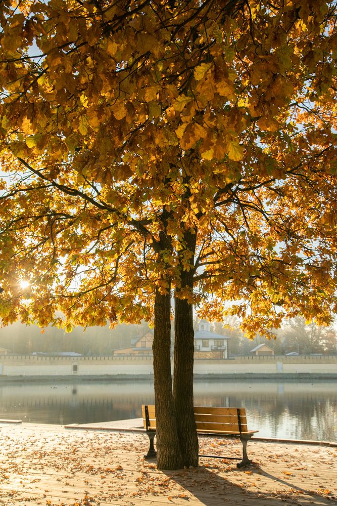 Photograph by Наталья Шумиловская