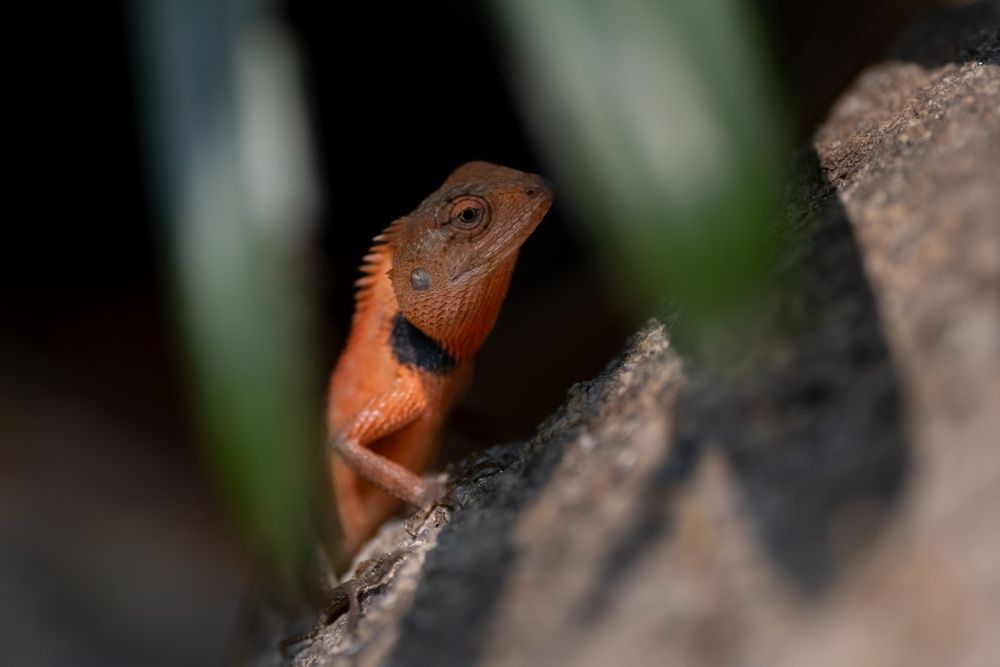 Photograph by Николай Фонарёв