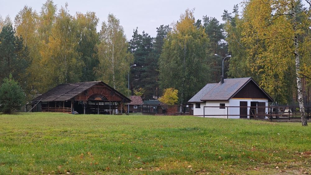 Фотография автора Юлия Нижура