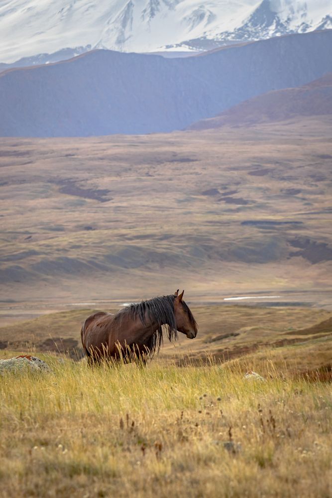 Photograph by Екатерина Лурина