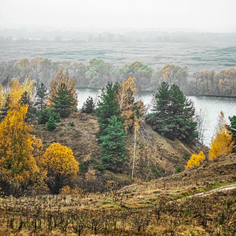 Фотография автора Нина Зинченко