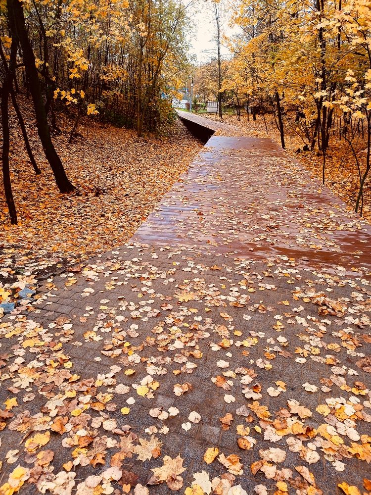 Photograph by Денис Умеренков