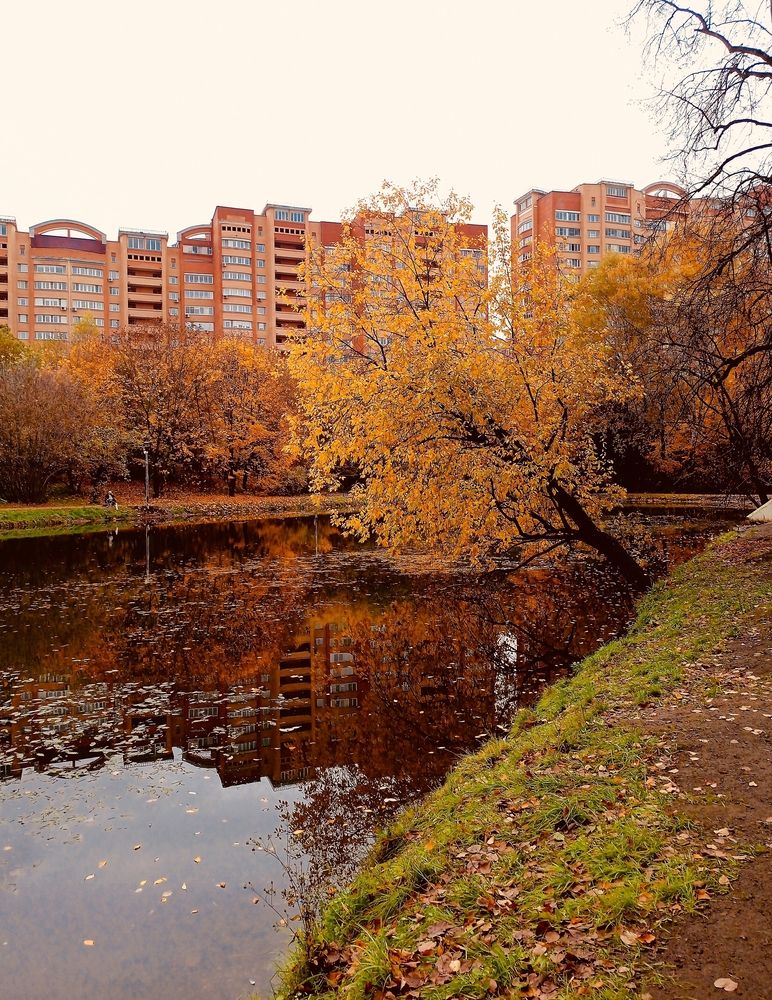 Photograph by Денис Умеренков