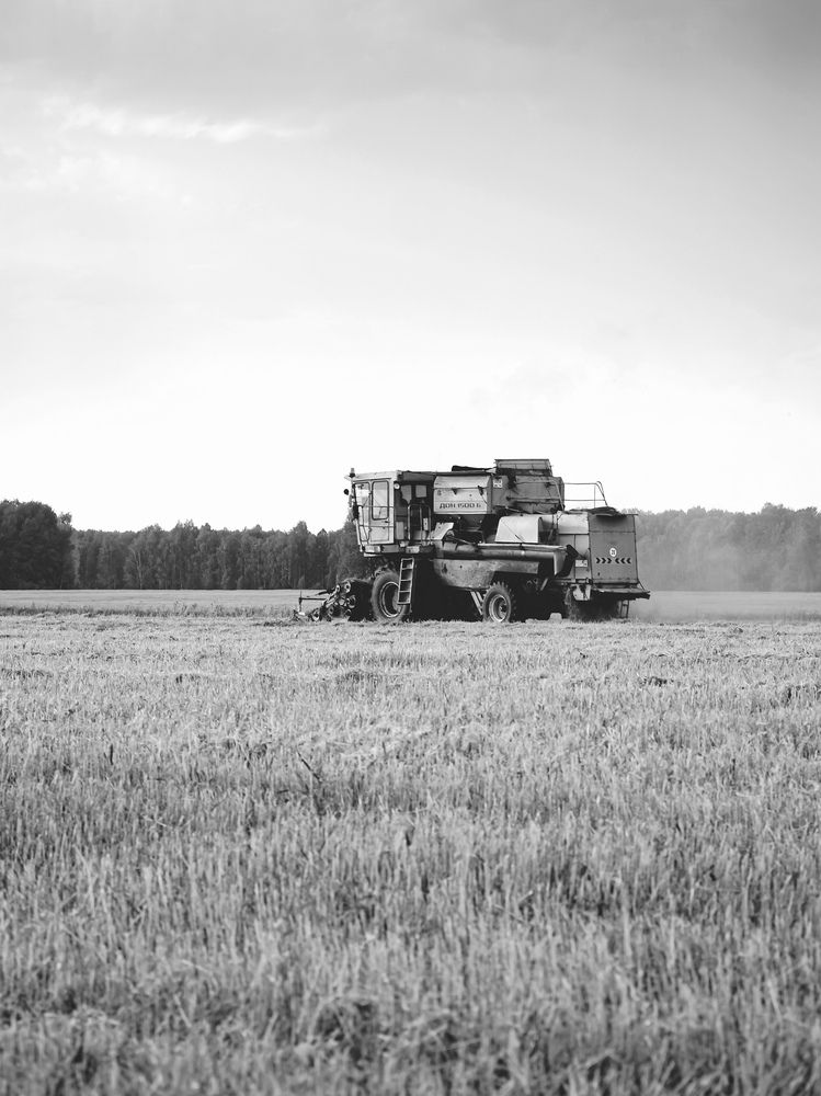 Photograph by BorzIN