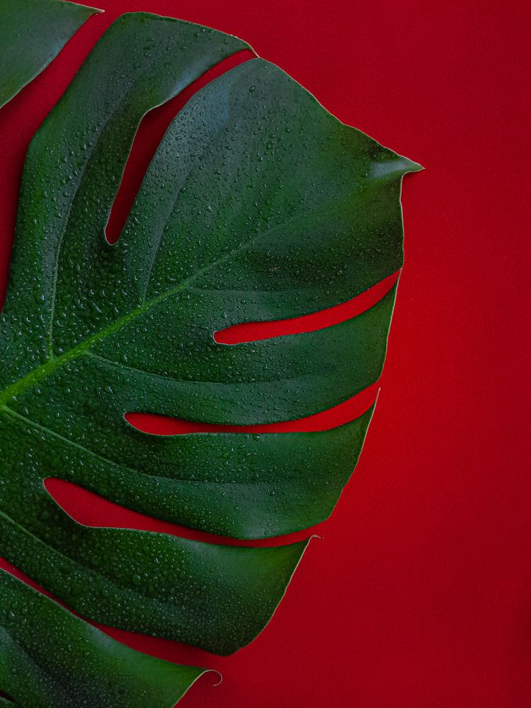 Photograph by Анастасия Заякина