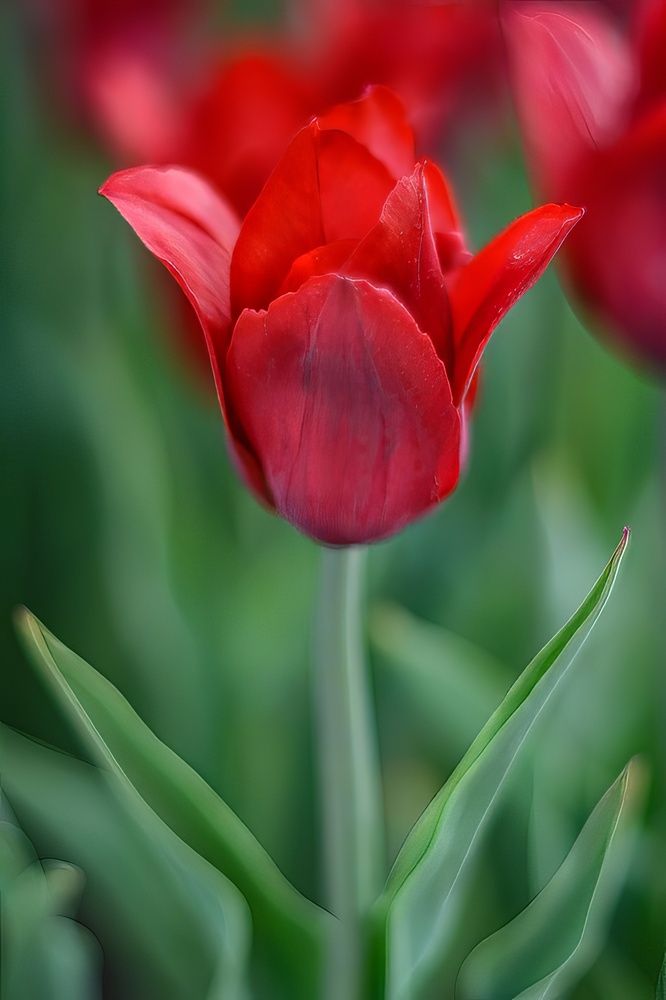 Photograph by Елена Берсенёва