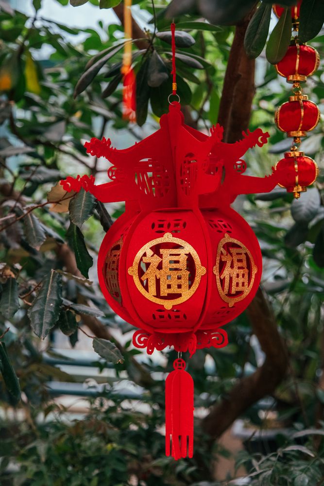 Photograph by Сагдиева Эльвира