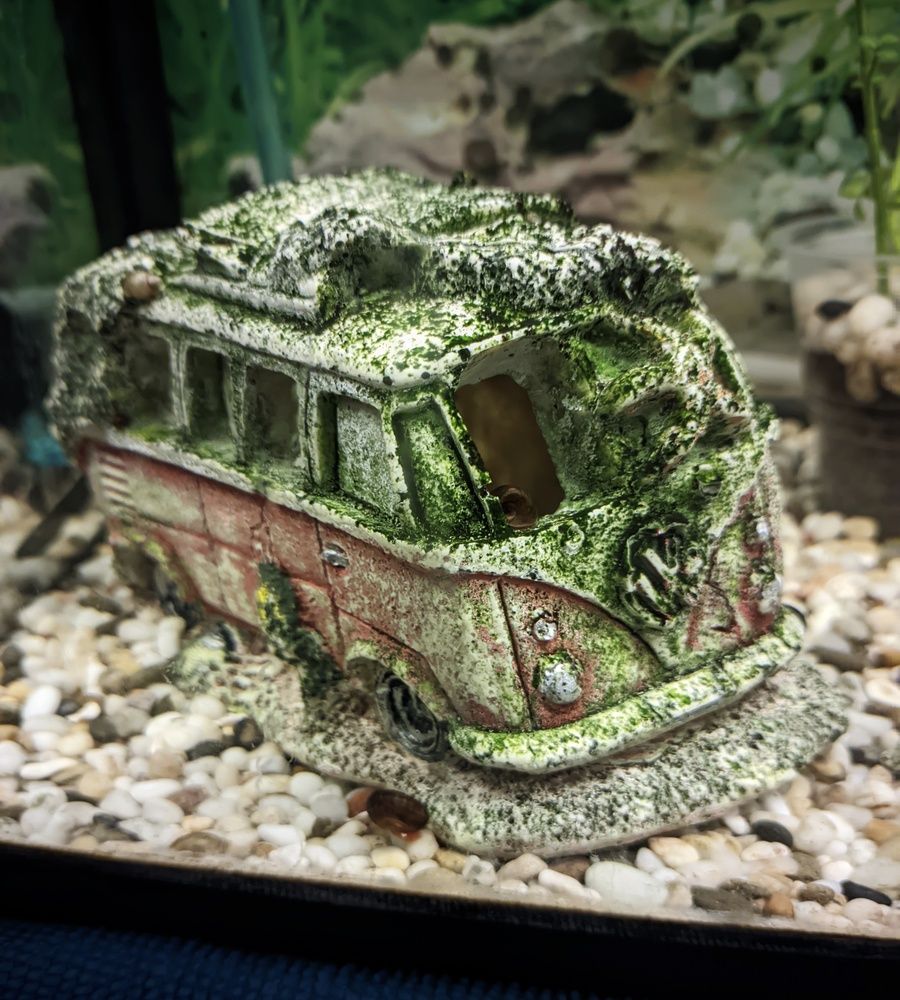 Photograph by Sergey Kurkov-Tarkovsky