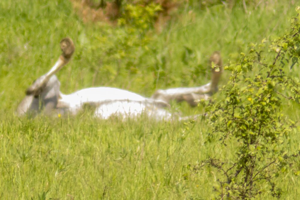 Photograph by миша