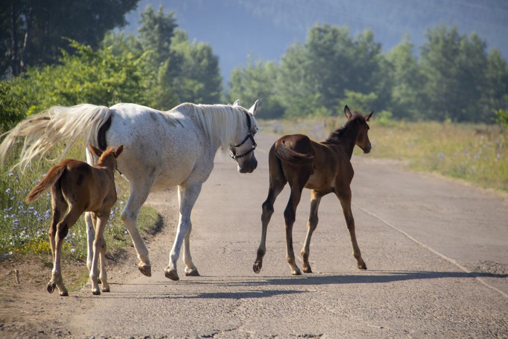 Photograph by миша