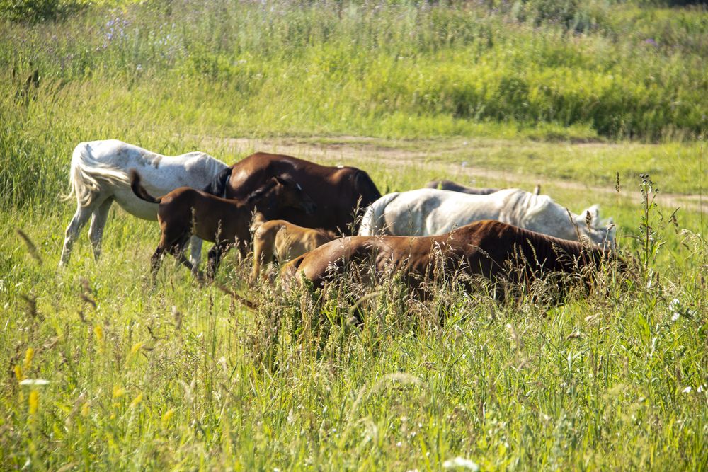 Photograph by миша