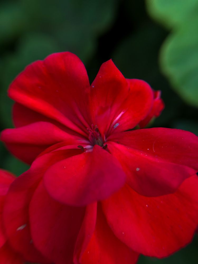 Photograph by Анастасия Короленко