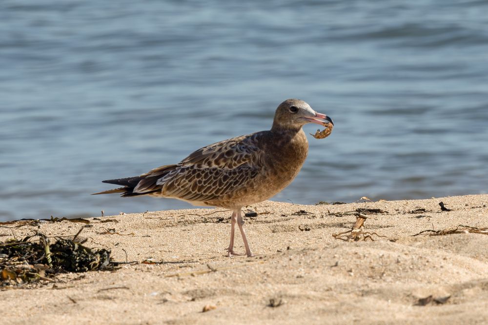 Photograph by Юлия Яковлева
